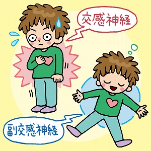 心拍のゆらぎを見れば、ストレス状態がわかる？