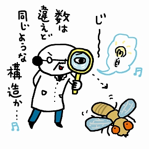 100万種の細胞を作り分け！　神経回路構築の謎を解き明かす