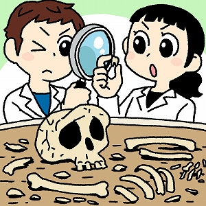 限られた情報から謎を解き明かす、解剖学にも通じる化石研究