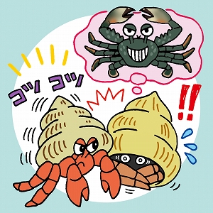 関心ワード「貝殻」の講義1