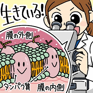 「生きていること」を物理で理解する