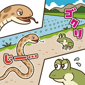 動物たちの生き残る技：VR技術で探る生存戦略