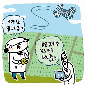 コメの収量と品質を高める！　ドローン診断と品種改良