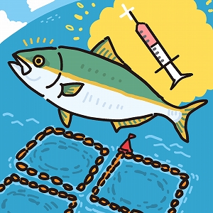 新ワクチンの開発で養殖漁業のピンチを救え！