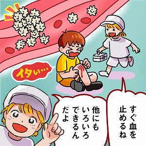 血を止めるだけじゃない！　さまざまな機能を持つ血小板