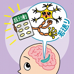 うつ病の治療薬で「神経細胞が若返る」ってどういうこと？