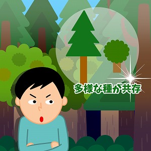 関心ワード「木・樹木」の講義3