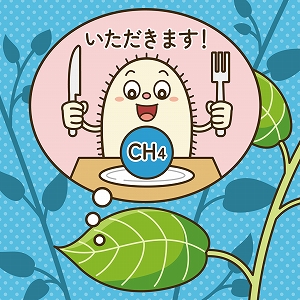 学問分野「生物工学」の講義3