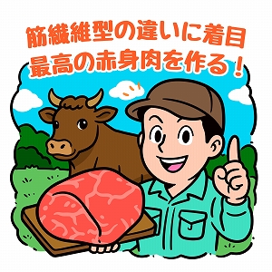 最高の赤身肉を作る！　筋線維型の違いに着目