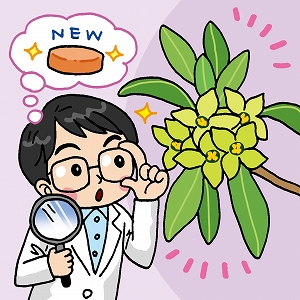 文芸学での学びと研究