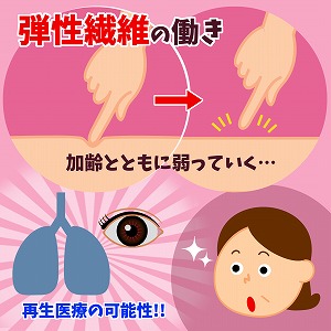 関心ワード「医療」の講義2