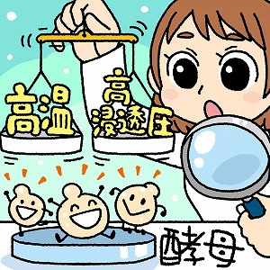 「ストレス×ストレス」はノンストレス？　酵母に働いてもらうには