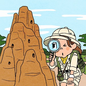 関心ワード「シロアリ」の講義1