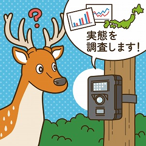 増えすぎる野生動物の実態を調査し、人間との関係を考える