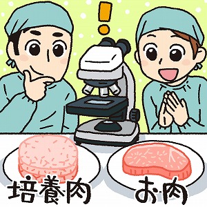 機械工学×細胞で創る、未来の再生医療と食