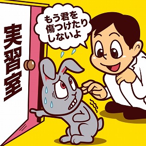 動物を犠牲にしない手術模型を用いた獣医学教育 