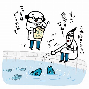昆虫が魚の養殖を救う！　これまでにない素材で餌を開発