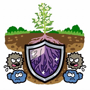 同じ「大学」の講義1