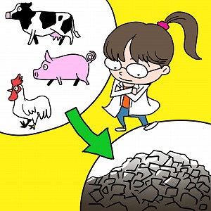 家畜の排せつ物から作られる炭の可能性