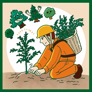 人工林をいつまでも使い続けるには