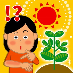 植物が日光をたっぷり浴びても「日焼け」しないワケ