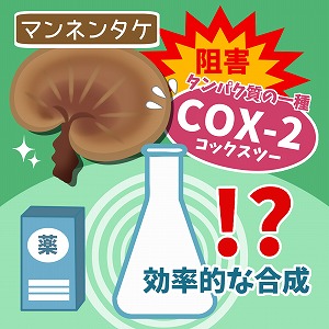 関心ワード「キノコ・きのこ」の講義1