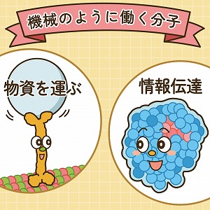 体の中で働く「バイオナノマシン」