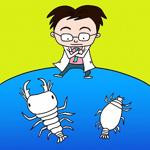 関心ワード「動物行動学」の講義3