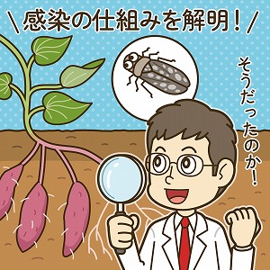 関心ワード「昆虫」の講義1