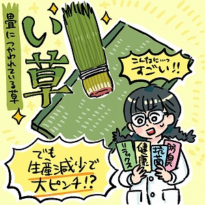 学問分野「生物学」の講義2