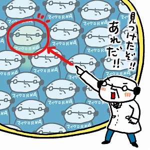 未来の医療を変える超微細なマイクロRNAを探れ！