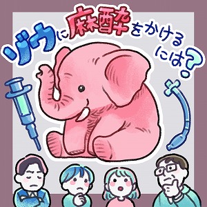 同じ「大学」の講義2