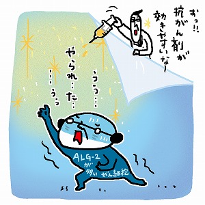 同じ「大学」の講義2