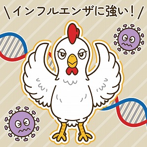 関心ワード「ニワトリ」の講義3