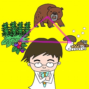 クマが温暖化から植物を救う？　森林生態系を守るには