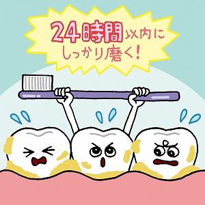 口の大掃除は24時間以内に！