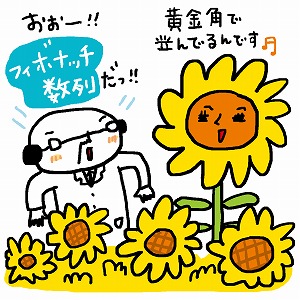 ひまわりの種に現れる「らせん」　自然に潜む美しい数学