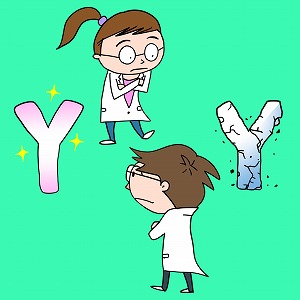 Y染色体は退化している！　消滅を回避する性染色体サイクルとは