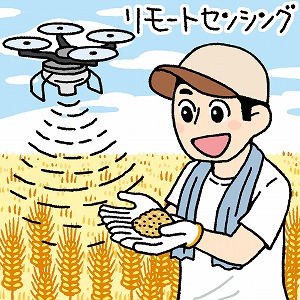 関心ワード「食料自給率」の講義1