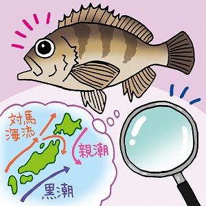 同じ「大学」の講義4
