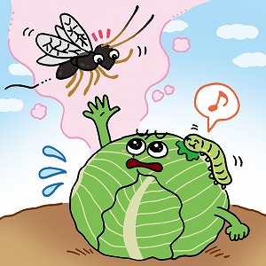 文芸学での学びと研究