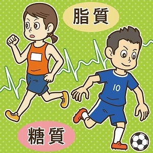 アスリートのベストプレーを引き出せ！　競技に合った体づくりを分析