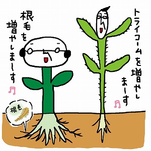 同じ「大学」の講義3
