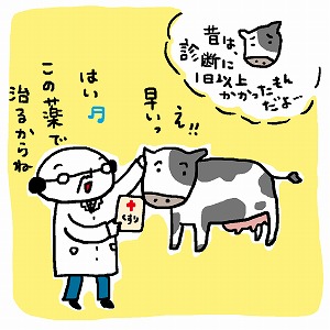 乳牛の天敵、乳房炎を防げ！　診断技術で酪農現場を変える