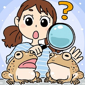 カエル研究で「性が決まる仕組み」に迫る