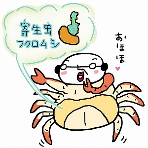 極悪だけどユニーク！　カニの体を乗っ取るフクロムシの生態