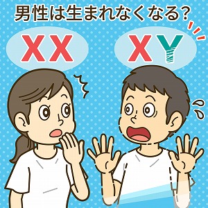 Y染色体が消えたら人類は絶滅？　進化の不思議を解明