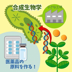 設計して、働かせる。　微生物で薬の原料を作る合成生物学