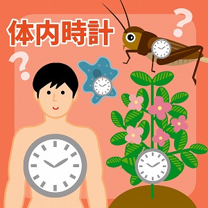 学問分野「化学」の講義2