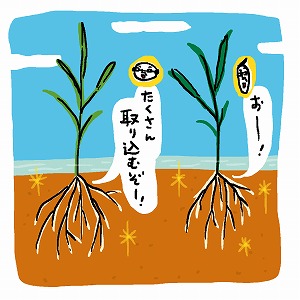 関心ワード「植物」の講義2